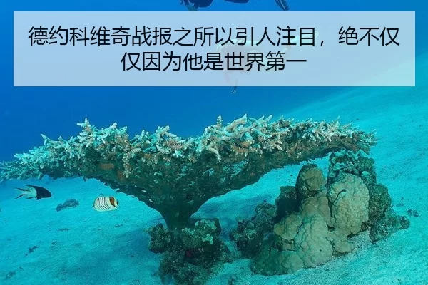 德约科维奇战报之所以引人注目，绝不仅仅因为他是世界第一